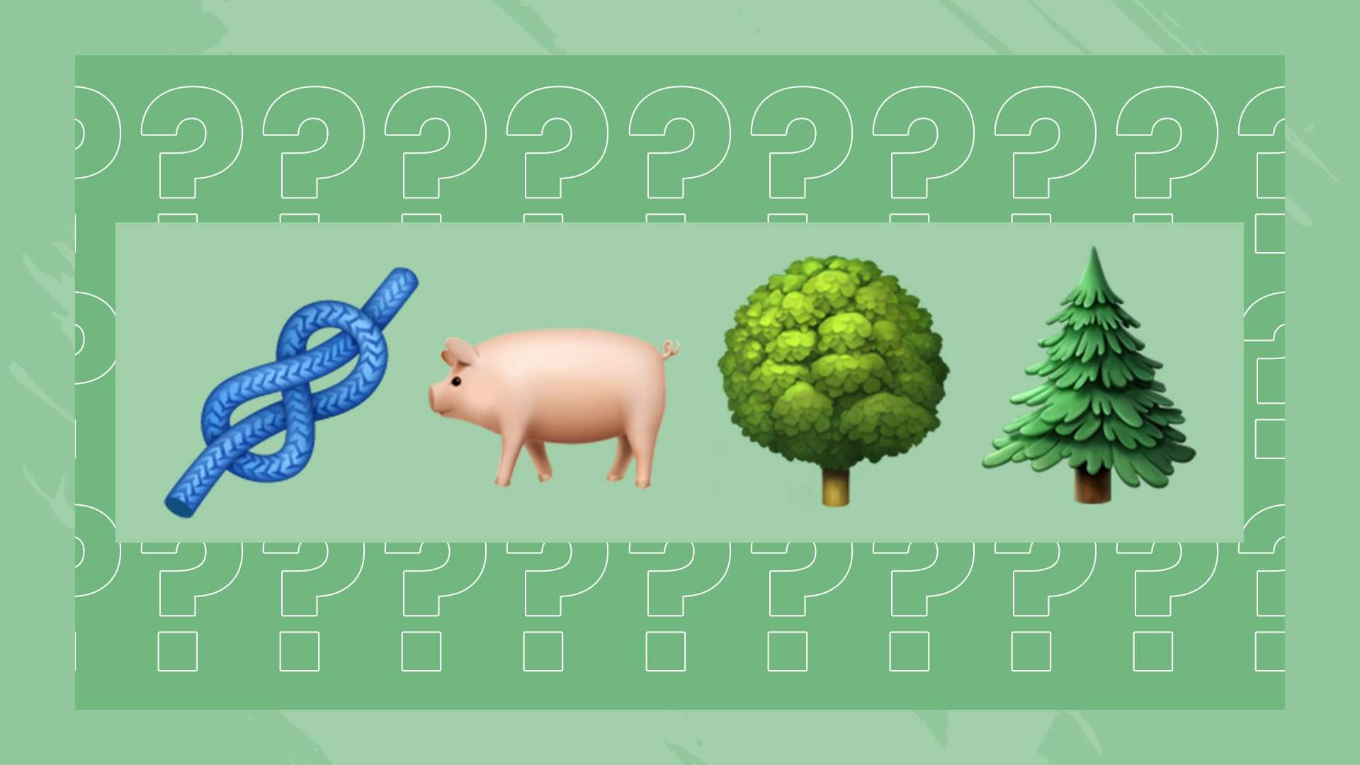 的精彩瞬间 的精彩瞬间